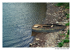 photo "Swimed up"