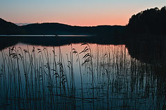 photo "***"