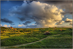photo "at the edge of the village"