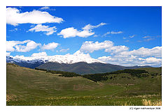 photo "Snow of may"