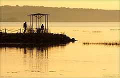 photo "Couple"