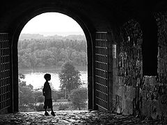фото "..."