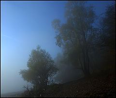 photo "***"
