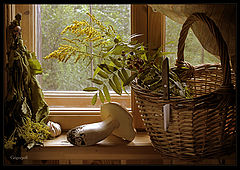 photo "Basket on the window-sill"