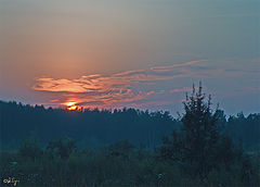 photo "Tired sun"