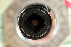 photo "Snap"