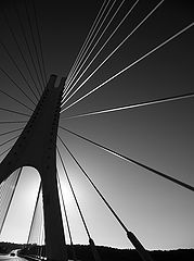 фото "###"