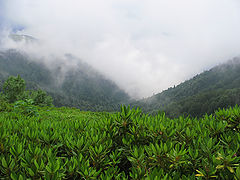 photo "Abkhazia"