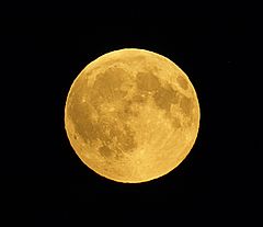 фото "Last night we had big moon..."