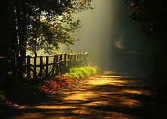 photo "***"