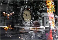 photo "Fleeting flowering of time"