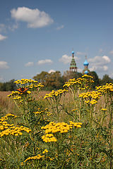 photo "***"