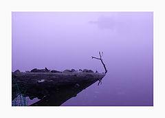 photo "***"
