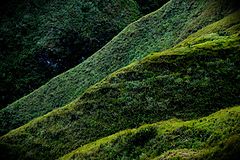 photo "***"