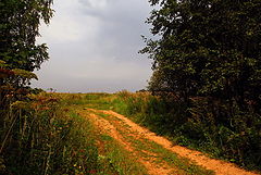 photo "At the margins of Summer..."