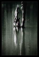 photo "Sorrow"