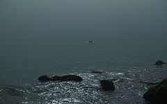 photo "***"