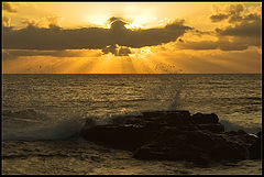 photo "El Golfo"