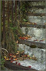 фото "Шаги осени"