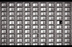 photo "broken rule..."