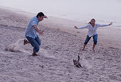 photo "Catch me if you can"
