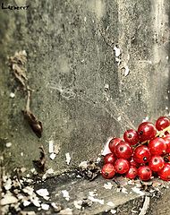 photo "***"