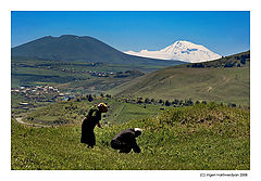 photo "Killing  near Ararat"
