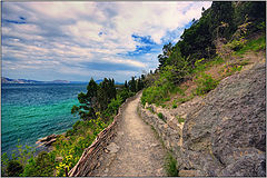 photo "trope"