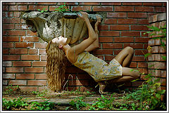фото "***"