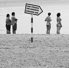 фото "Dangerous zone"