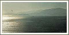 photo "***"