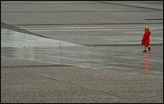фото "chasing reflections"