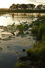photo "***"