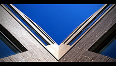 photo "Ying-Yang"