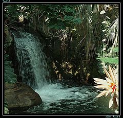 фото "The Pool"