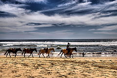 photo "FOLLOW THY LEADER"