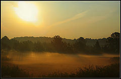 фото "Утро"