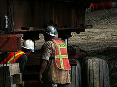 фото "Inspection"