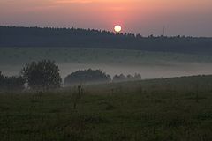 photo "***"