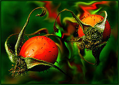 photo "***"