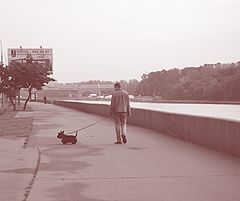 photo "my love"