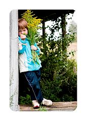 photo "flowers"