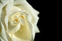 photo "***"