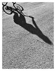 photo "Shadow"