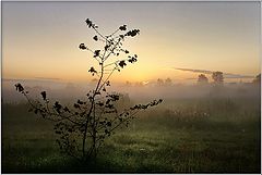 photo "New day"