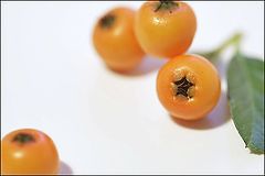фото "Ashberry"