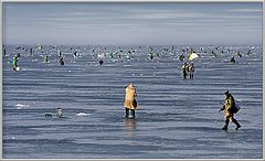 photo "Fishermen :)"
