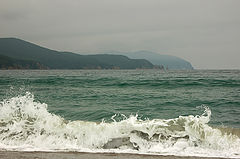 photo "***"