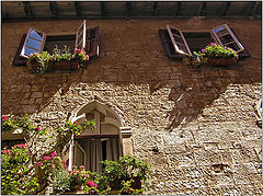 photo "The windows of Croatia"