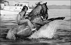 photo "Horse bathing"